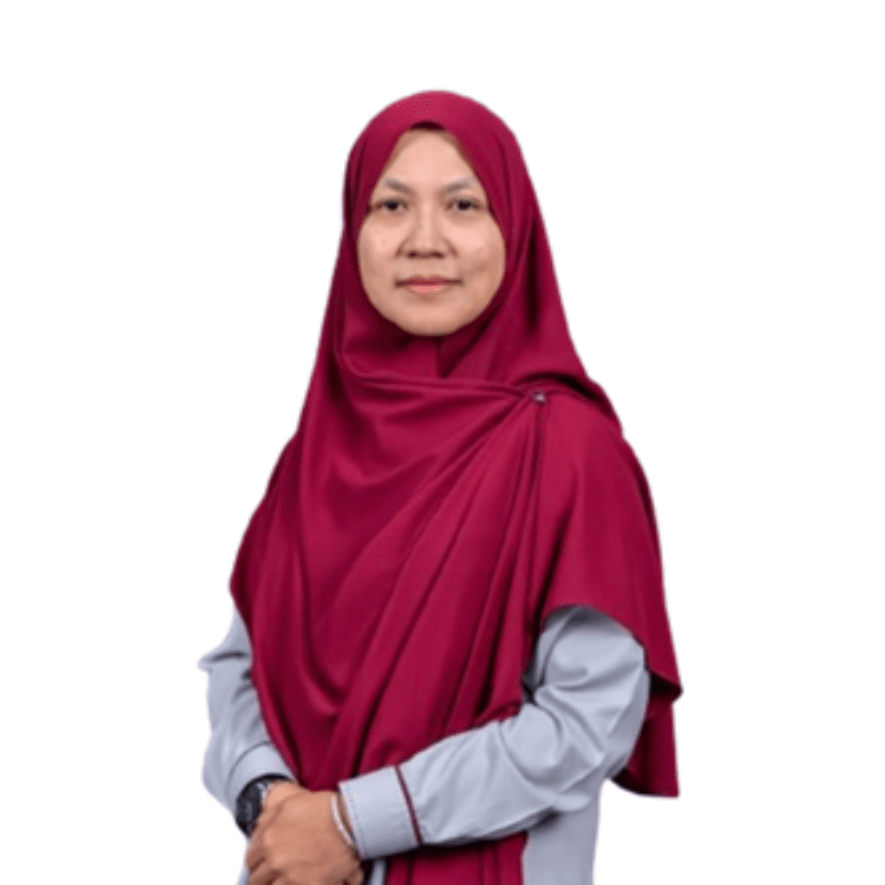 Prof. Ir. Dr Hazlina Selamat